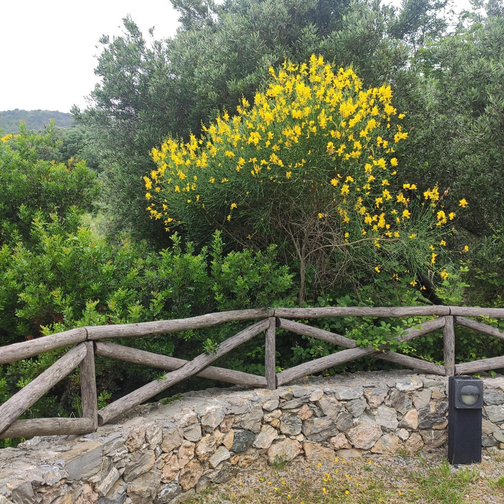 Il Giardino Sull'Isola - Appartamento - Bergeggi Exterior photo